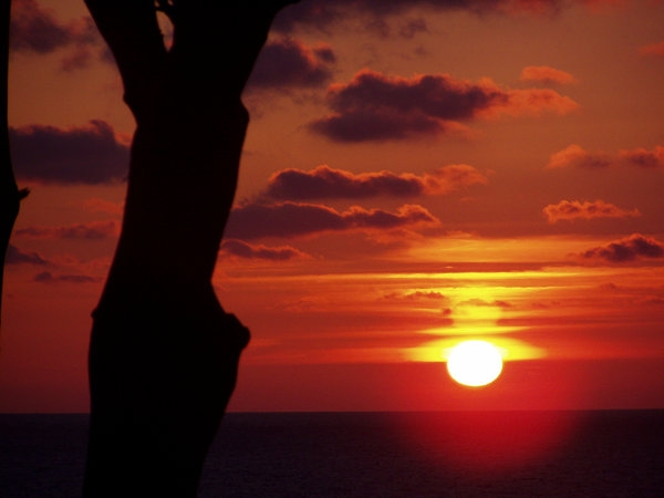 Atardeceres — foto 12